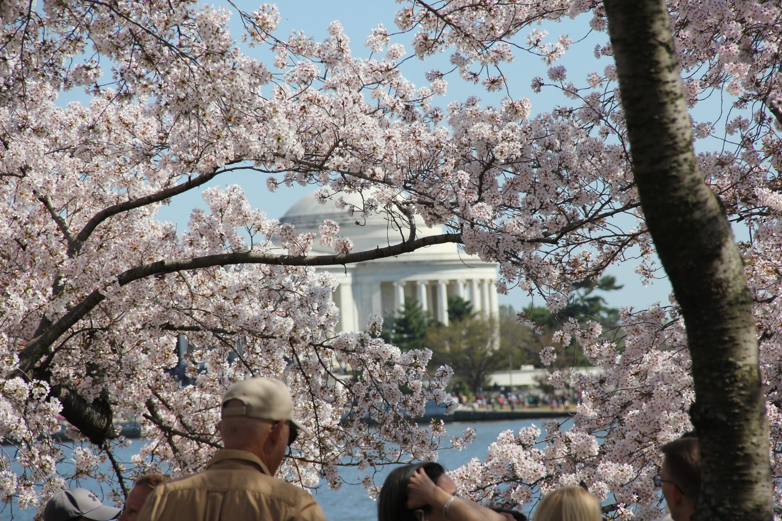 Tours guidés de Washington