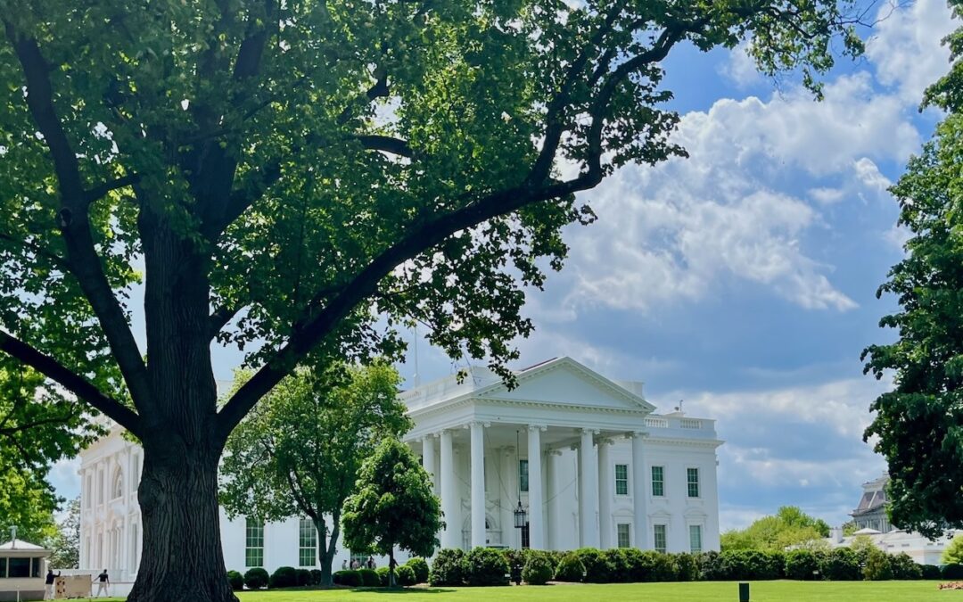 Où manger près de la Maison Blanche ?