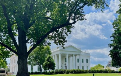 Où manger près de la Maison Blanche ?